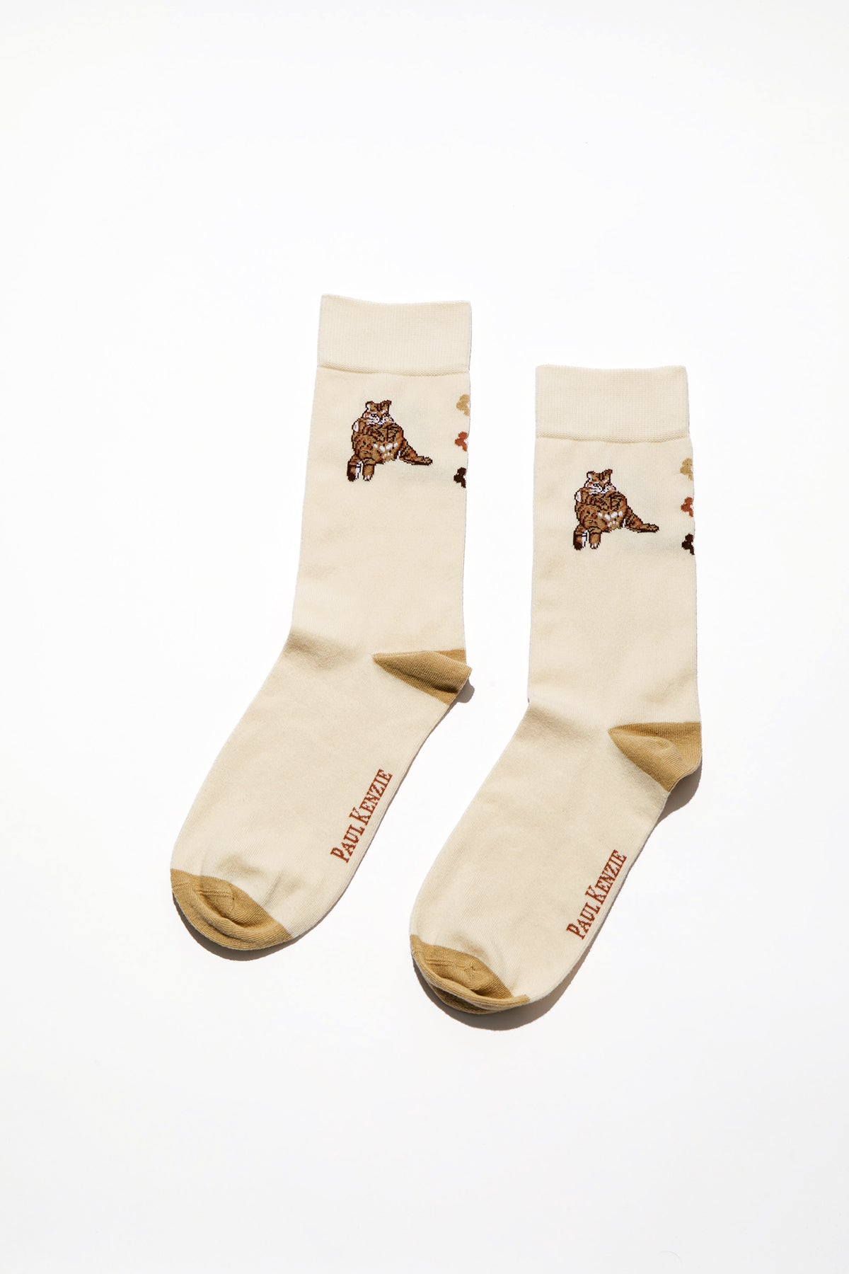 Paul Kenzie-Paul Kenzie X Kurtaran Ev Desenli Soket Çorap Tombili-Çorap-2-Milagron.com