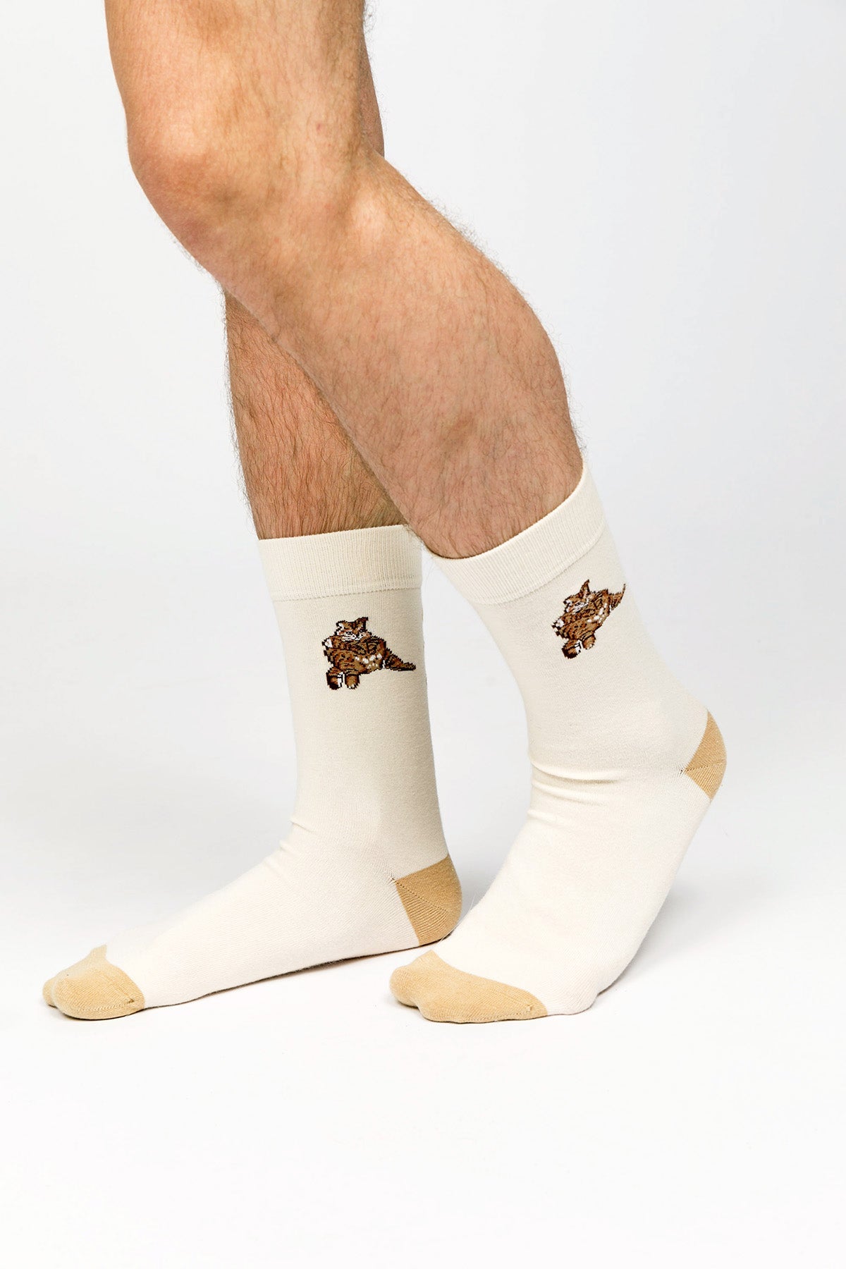 Paul Kenzie-Paul Kenzie X Kurtaran Ev Desenli Soket Çorap Tombili-Çorap-3-Milagron.com