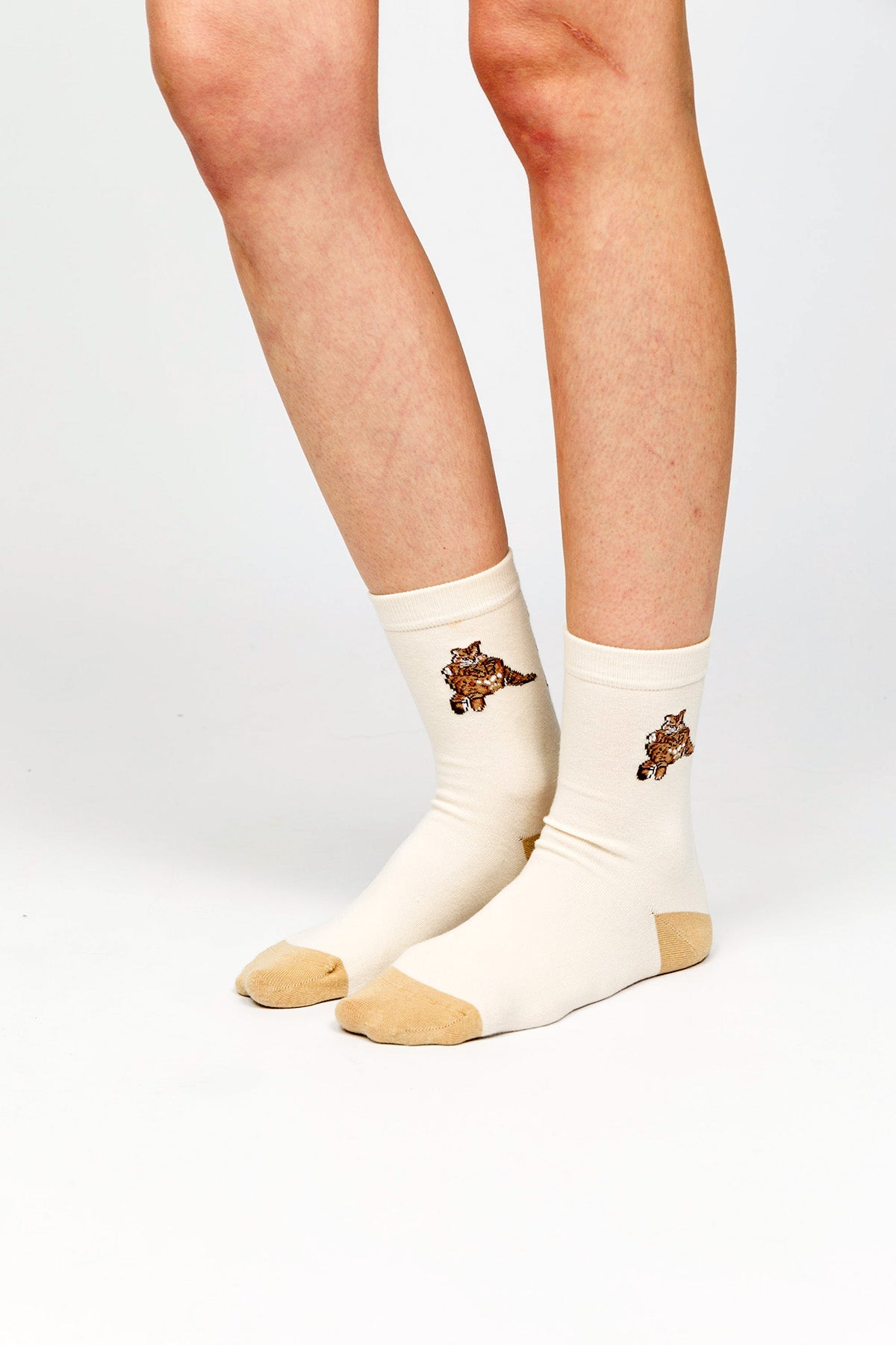 Paul Kenzie-Paul Kenzie X Kurtaran Ev Desenli Soket Çorap Tombili-Çorap-5-Milagron.com