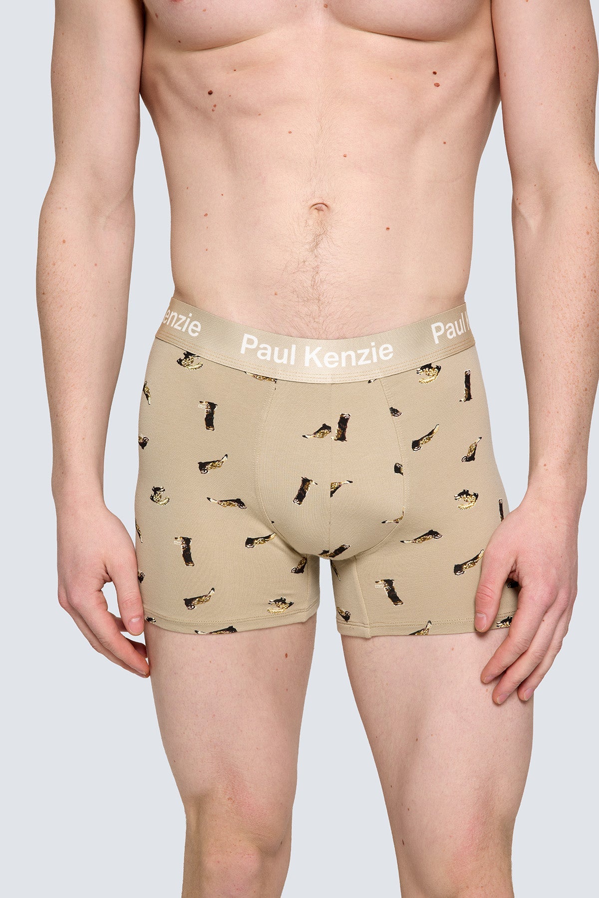 Paul Kenzie X Doğa Derneği - Desenli Erkek Boxer - Alaca Sansar