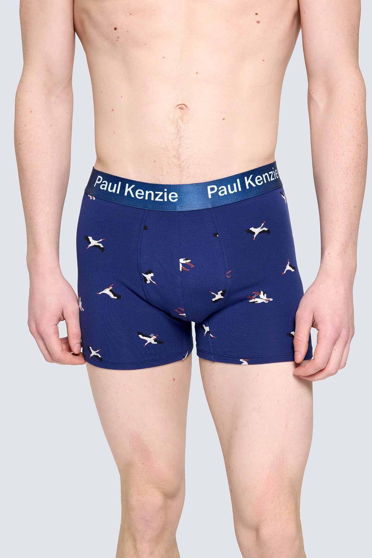 Paul Kenzie X Doğa Derneği - Desenli Erkek Boxer - Leylek