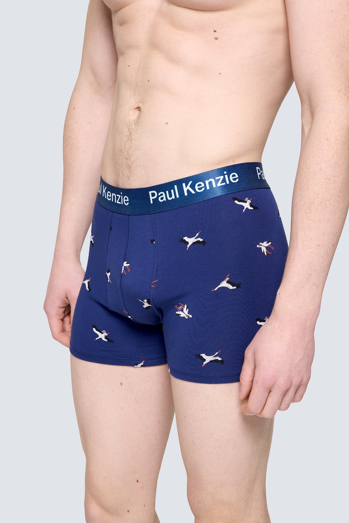 Paul Kenzie X Doğa Derneği - Desenli Erkek Boxer - Leylek