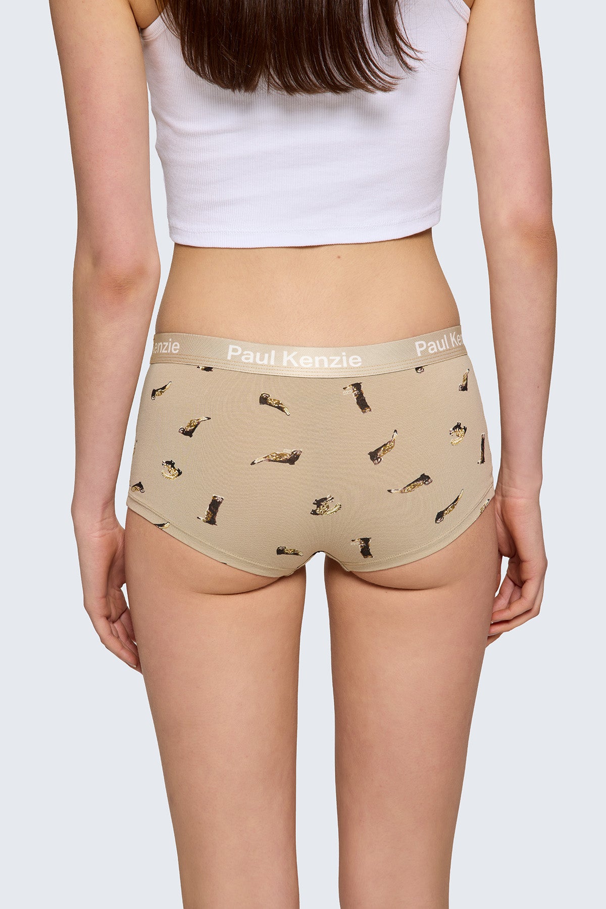 Paul Kenzie X Doğa Derneği - Desenli Kadın Boyshort Külot - Alaca Sansar