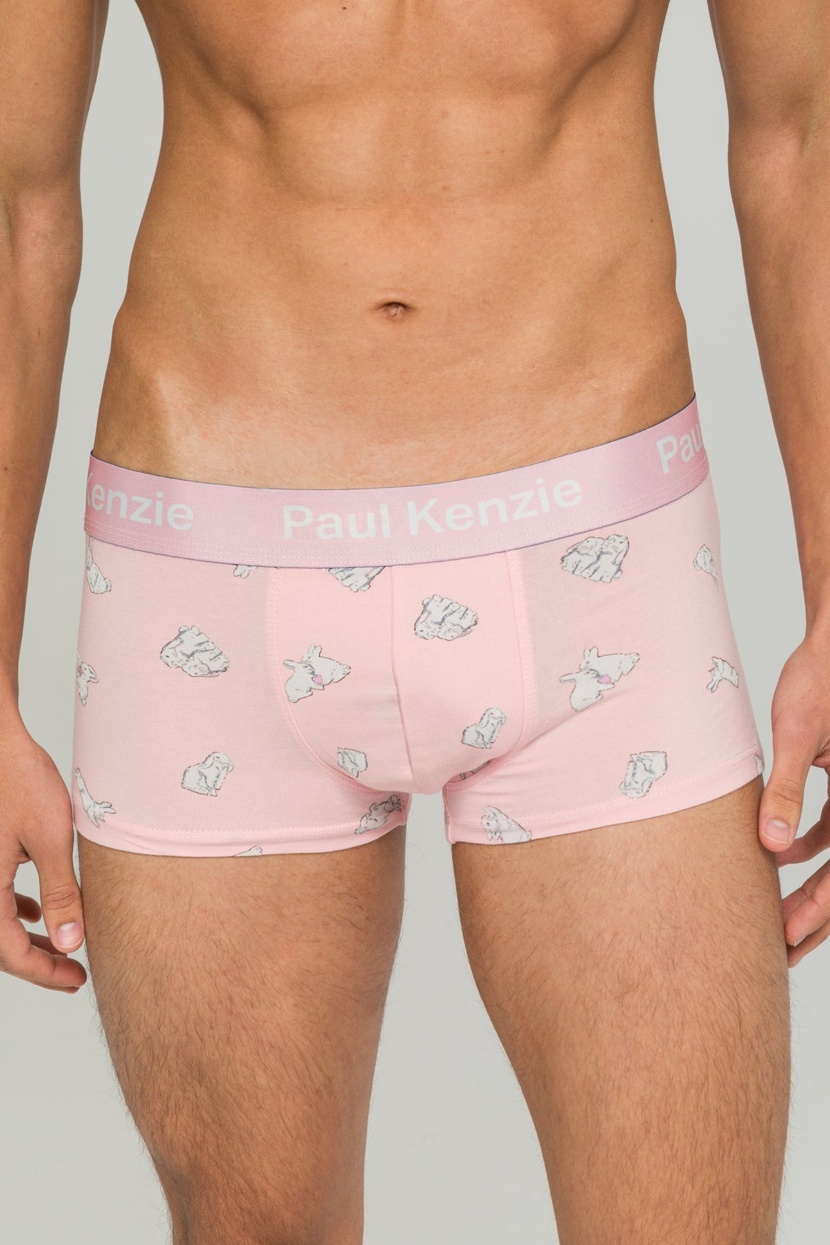 X Durex - Desenli Erkek Trunk Boxer - White Rabbit - 2