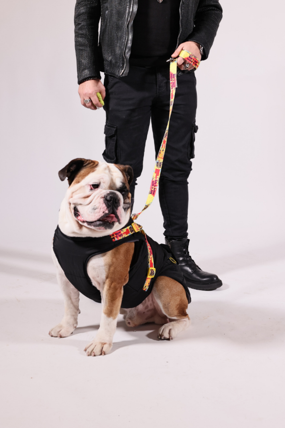 Pawlook-Pawlook , Göğüs Tasmalı, Köpek Montu, Köpek Yağmurluğu, Siyah-Köpek-1-Milagron.com