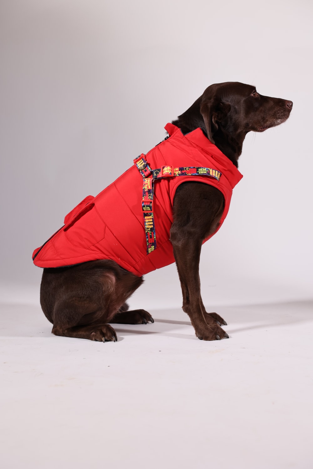 Pawlook-Pawlook, Göğüs Tasmalı, Köpek Montu, Köpek Yağmurluğu, Siyah-Köpek-2-Milagron.com