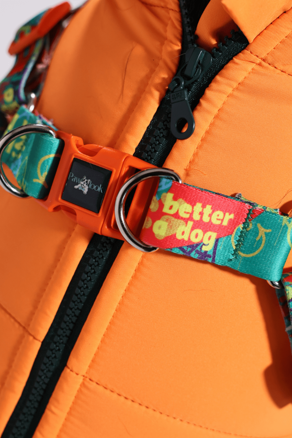 Pawlook-Pawlook , Göğüs Tasmalı, Köpek Montu, Köpek Yağmurluğu, Turuncu-Köpek-4-Milagron.com
