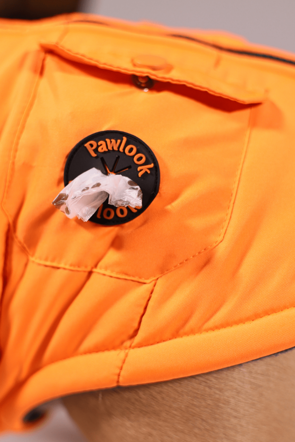 Pawlook-Pawlook , Göğüs Tasmalı, Köpek Montu, Köpek Yağmurluğu, Turuncu-Köpek-6-Milagron.com