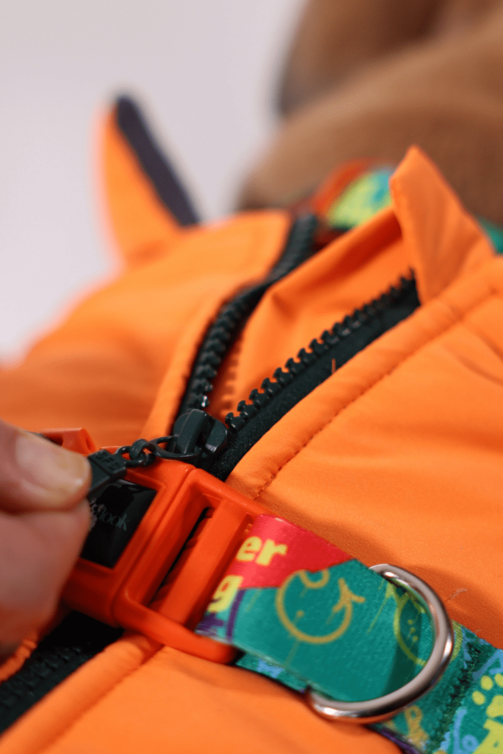 Pawlook-Pawlook , Göğüs Tasmalı, Köpek Montu, Köpek Yağmurluğu, Turuncu-Köpek-7-Milagron.com