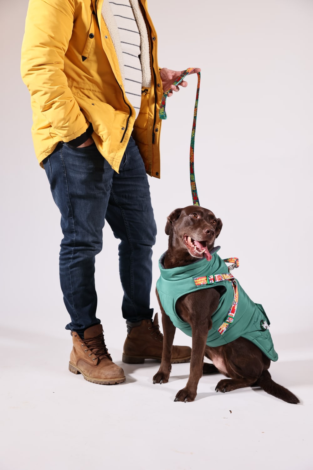 Pawlook-Pawlook , Göğüs Tasmalı, Köpek Montu, Köpek Yağmurluğu, Yeşil-Köpek-1-Milagron.com