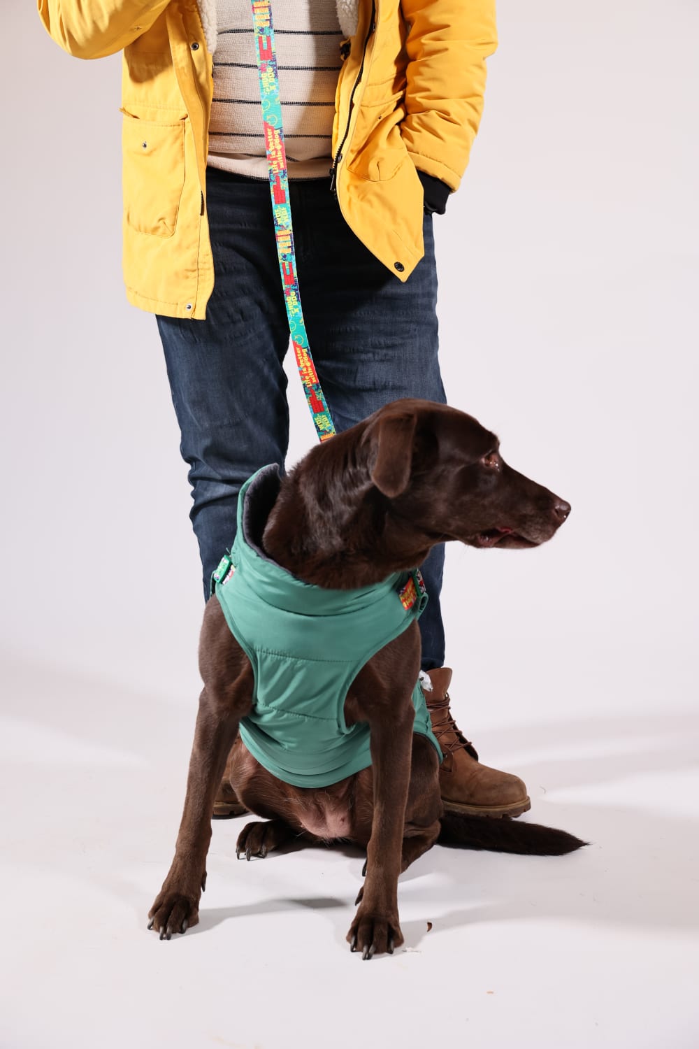 Pawlook-Pawlook , Göğüs Tasmalı, Köpek Montu, Köpek Yağmurluğu, Yeşil-Köpek-6-Milagron.com