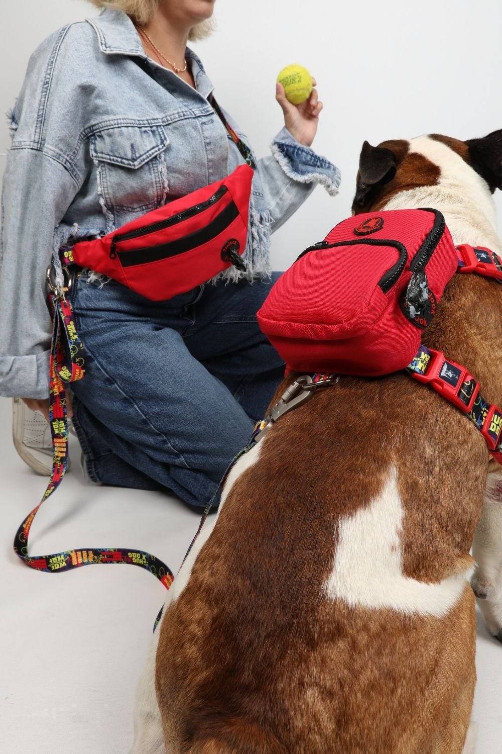 Pawlook-Pawlook, Kırmızı, Handsfree, Gezdirme Tasması, Eller Serbest, Gezdirme Kayışı, Handsfree Tasma-Köpek-1-Milagron.com