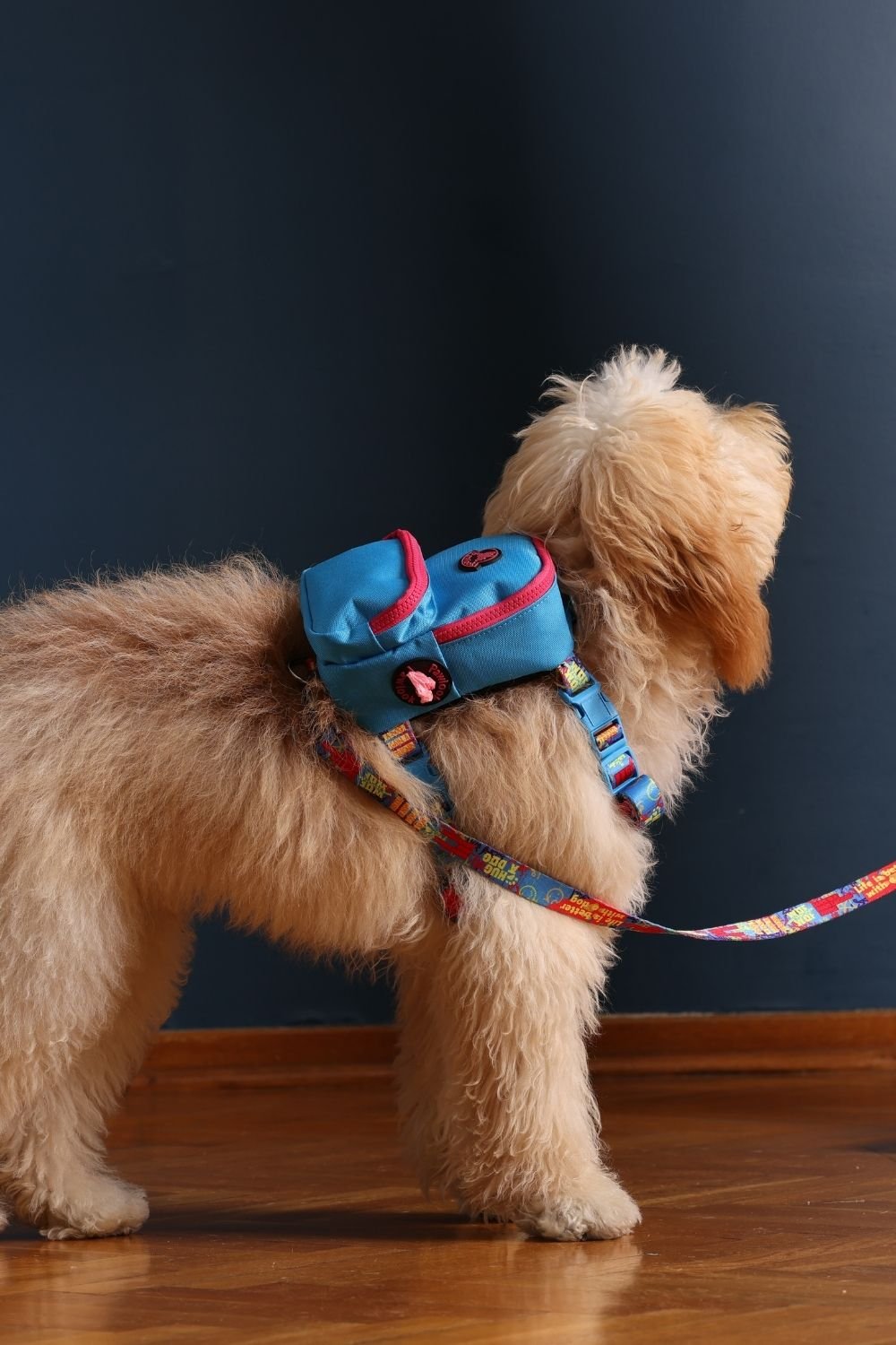 Pawlook-Pawlook, Köpek Sırt Çantası, Köpek Göğüs Tasması, Mavi-Köpek-5-Milagron.com