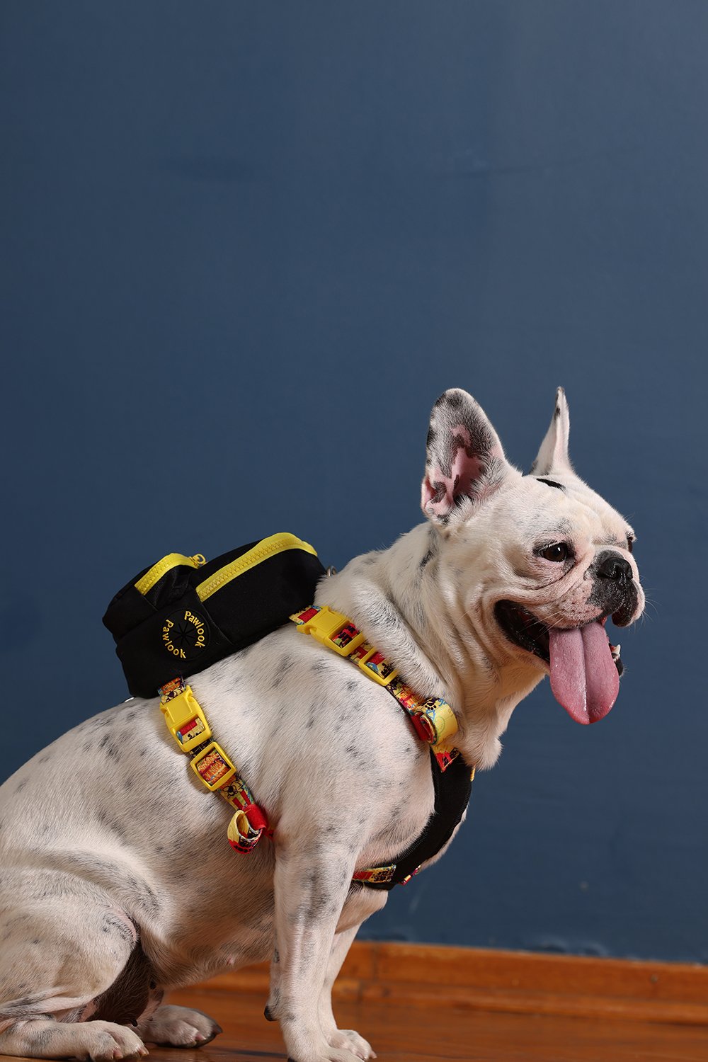 Pawlook-Pawlook, Köpek Sırt Çantası, Köpek Göğüs Tasması, Siyah-Köpek-4-Milagron.com