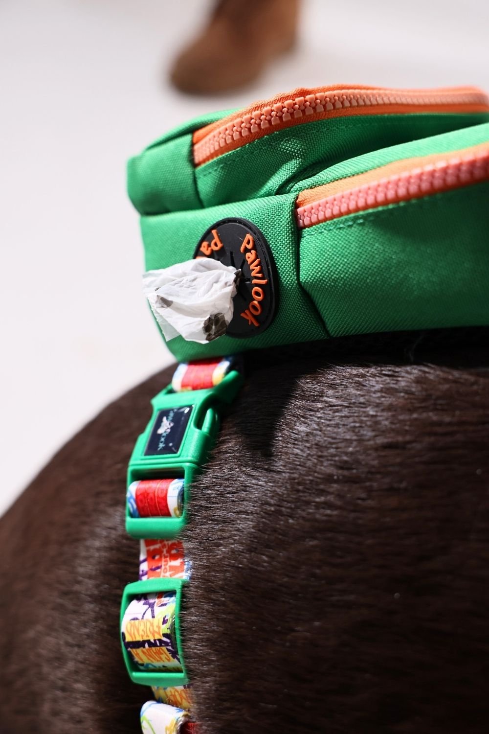 Pawlook-Pawlook, Köpek Sırt Çantası, Köpek Göğüs Tasması, Yeşil-Köpek-5-Milagron.com