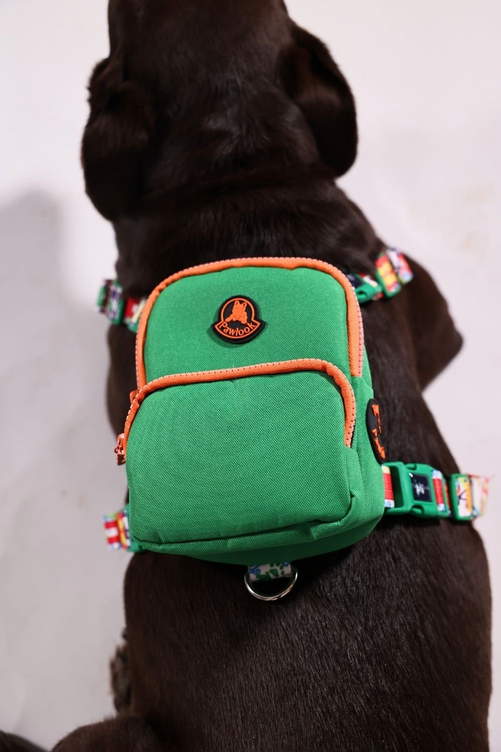 Pawlook-Pawlook, Köpek Sırt Çantası, Köpek Göğüs Tasması, Yeşil-Köpek-6-Milagron.com
