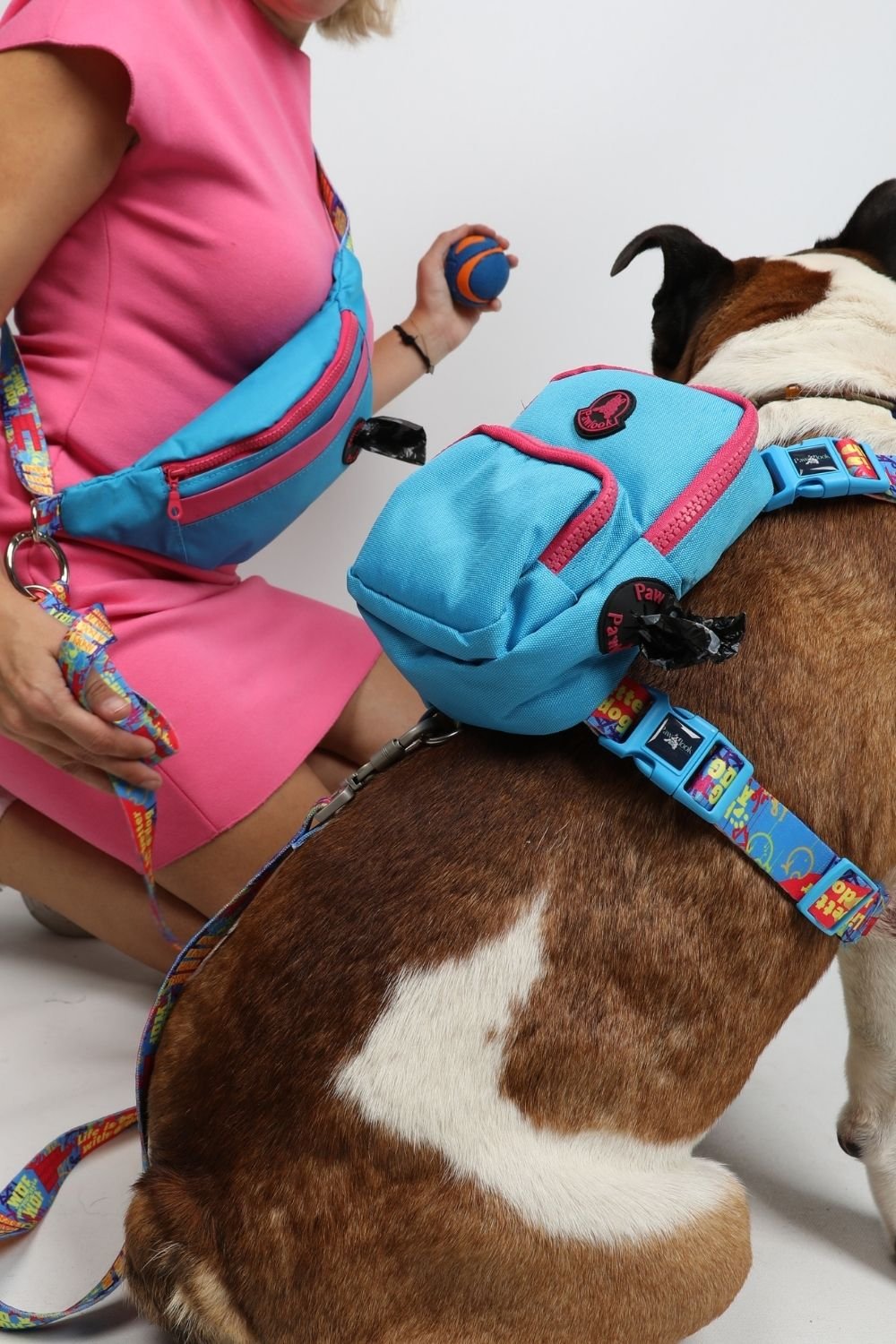 Pawlook-Pawlook , Mavi , Handsfree, Gezdirme Tasması, Eller Serbest, Gezdirme Kayışı, Handsfree Tasma-Köpek-1-Milagron.com