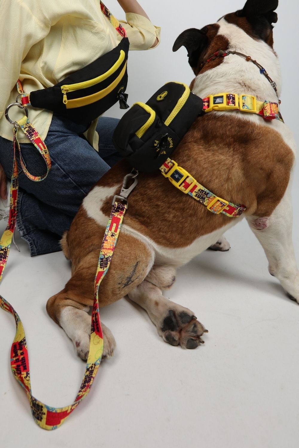 Pawlook-Pawlook , Siyah, Handsfree, Gezdirme Tasması, Eller Serbest, Gezdirme Kayışı, Handsfree Tasma-Köpek-1-Milagron.com