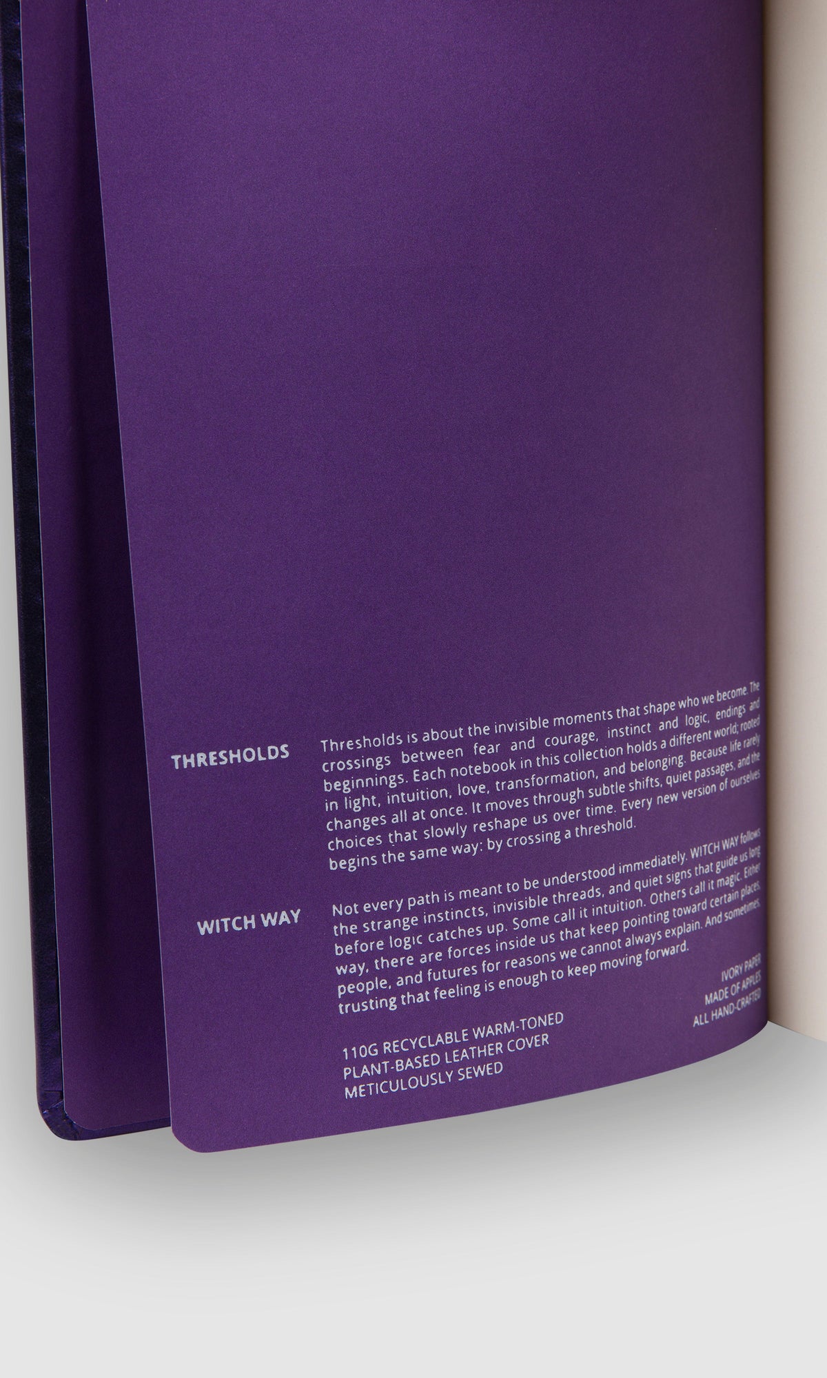 Notebook - Witch Way Mini