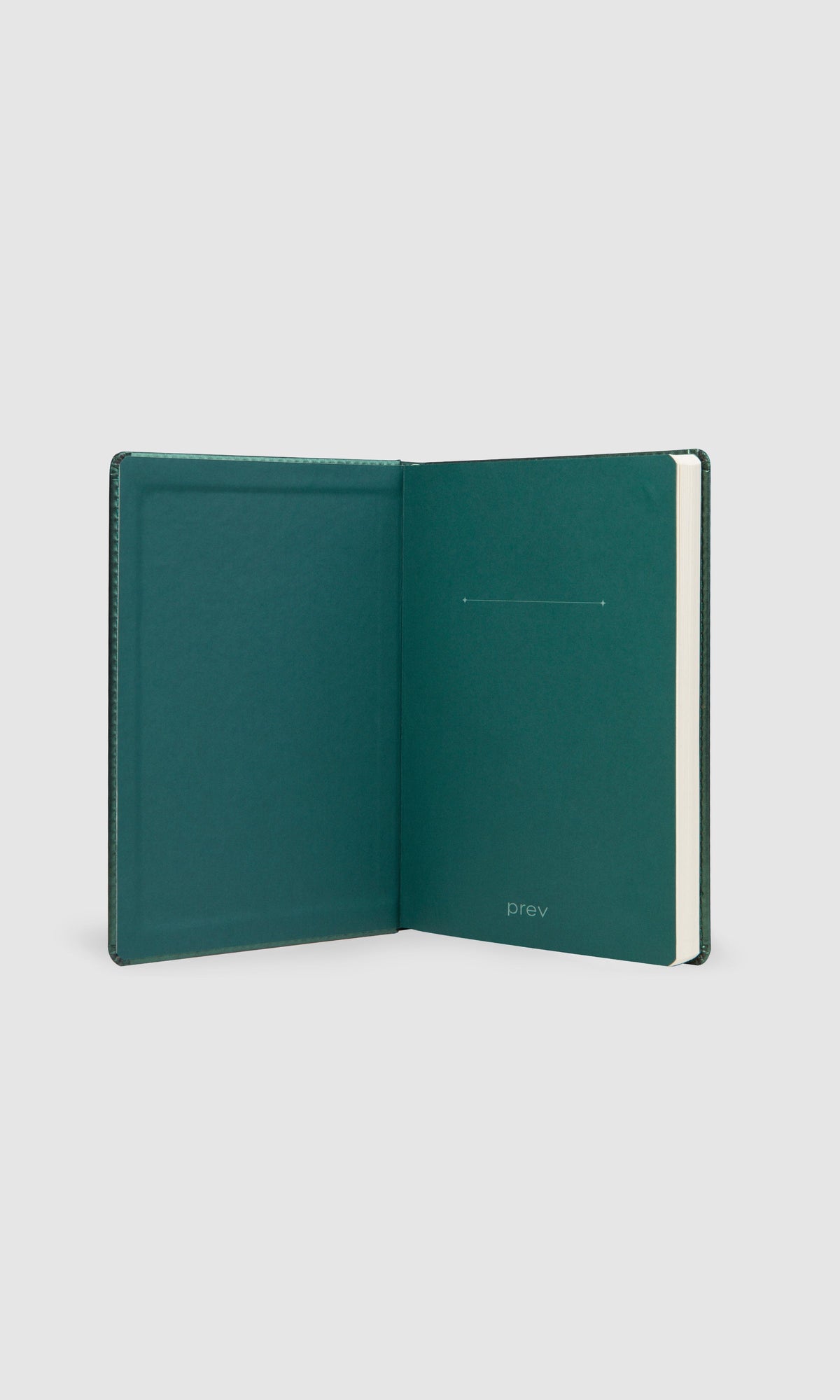 Bullet Journal - Orbit