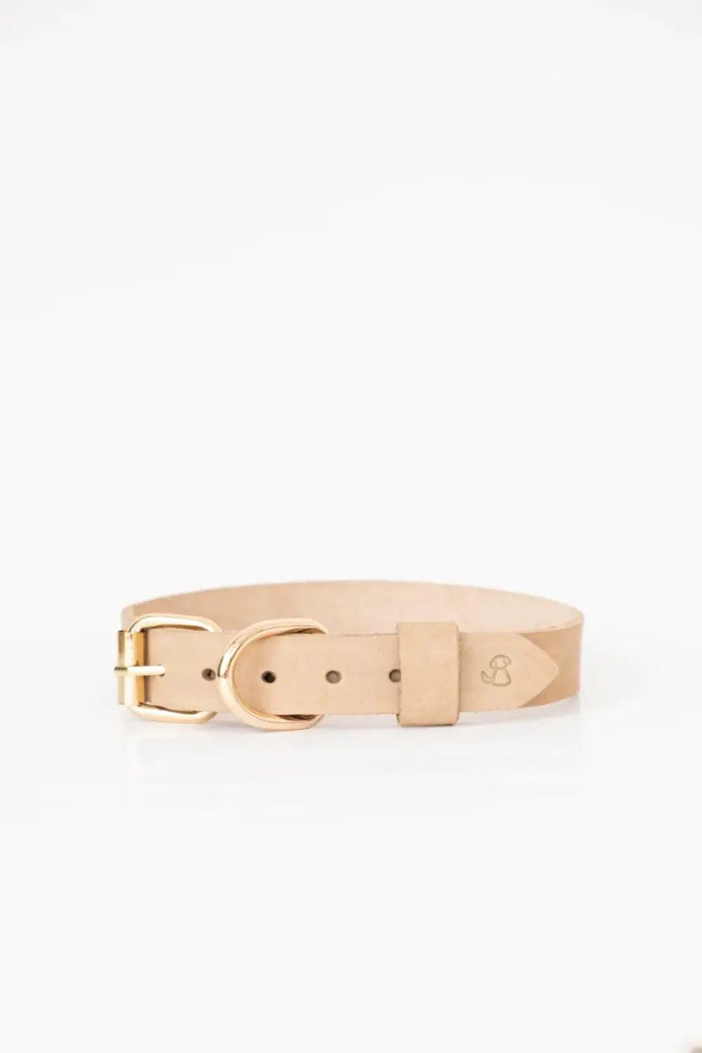 Pups & Itchy-Deri Köpek Boyun Tasması - Beige-Köpek-4-Milagron.com