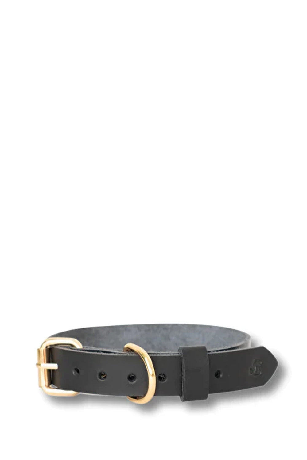 Pups & Itchy-Deri Köpek Boyun Tasması - Nero-Köpek-4-Milagron.com