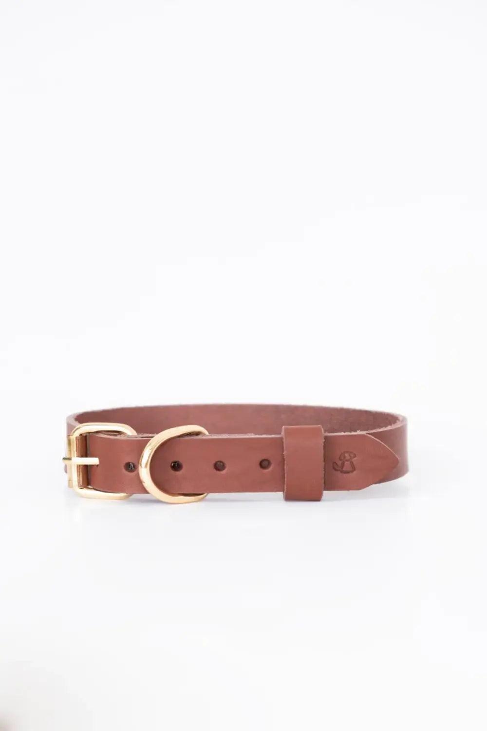 Pups & Itchy-Deri Köpek Boyun Tasması - Rosso-Köpek-2-Milagron.com