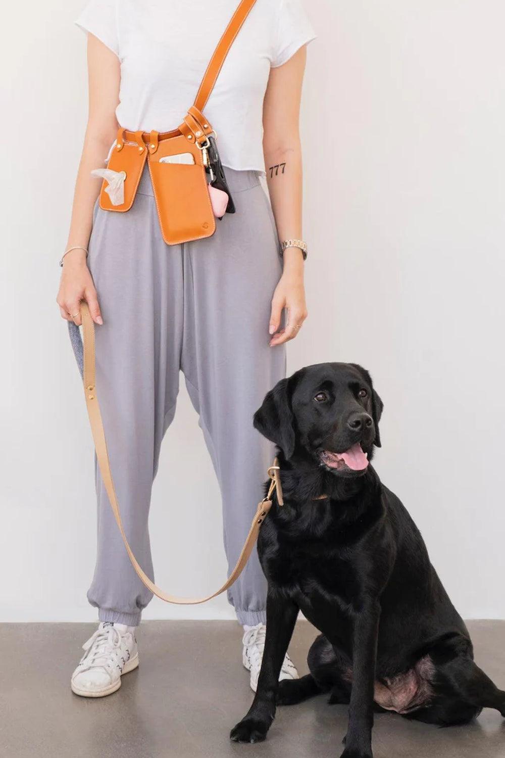 Pups & Itchy-Deri Köpek Gezdirme Kayışı - Beige-Köpek-1-Milagron.com