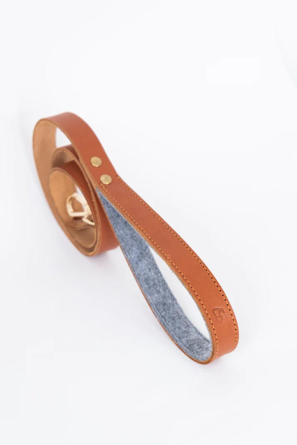 Pups & Itchy-Deri Köpek Gezdirme Kayışı - Bruno-Köpek-1-Milagron.com