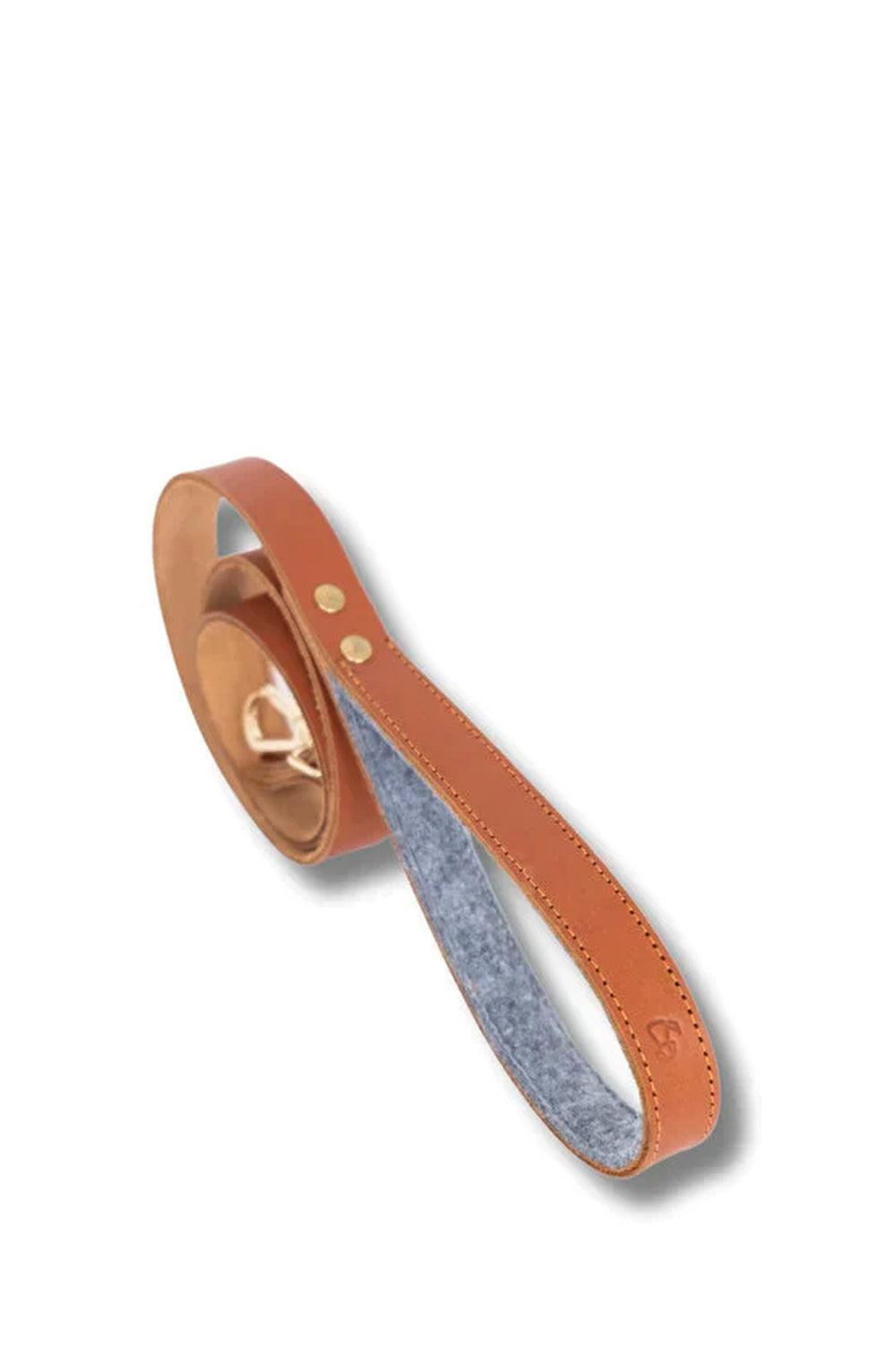 Pups & Itchy-Deri Köpek Gezdirme Kayışı - Bruno-Köpek-2-Milagron.com