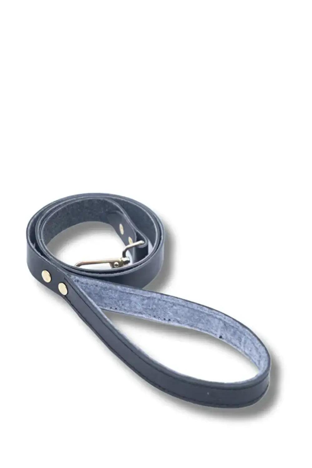 Pups & Itchy-Deri Köpek Gezdirme Kayışı - Nero-Köpek-1-Milagron.com