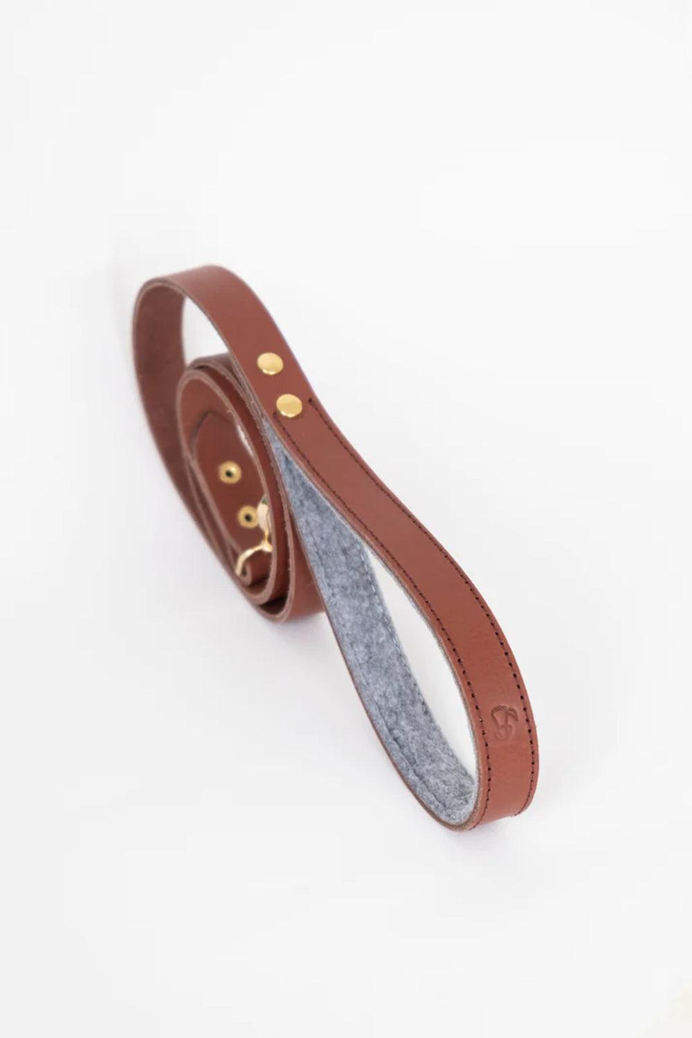 Pups & Itchy-Deri Köpek Gezdirme Kayışı - Rosso-Köpek-2-Milagron.com