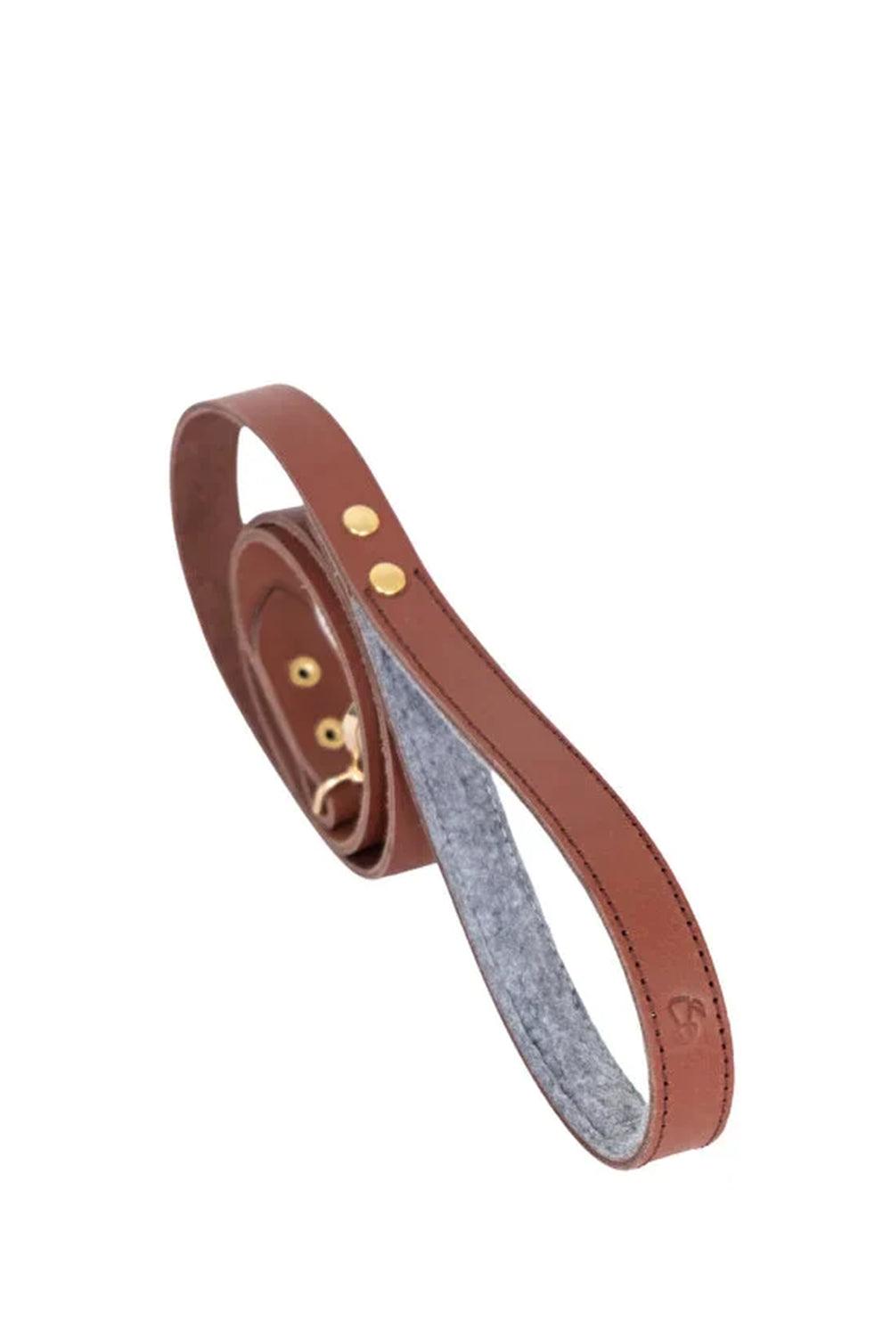 Pups & Itchy-Deri Köpek Gezdirme Kayışı - Rosso-Köpek-3-Milagron.com