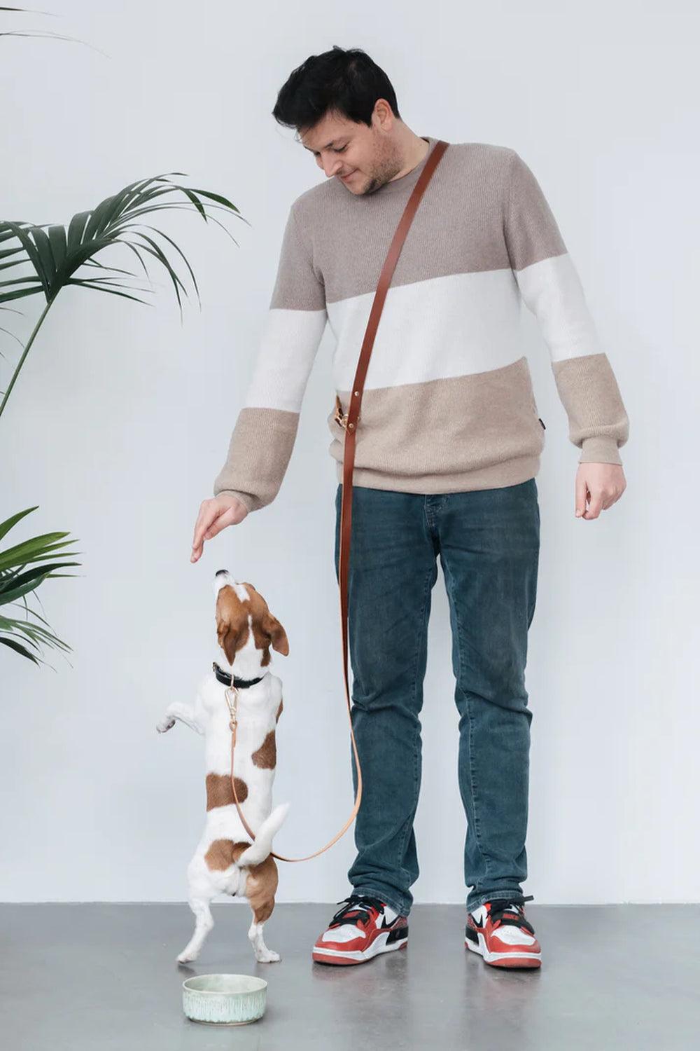 Pups & Itchy-Hands-Free Gezdirme Kayışı - Konyak-Köpek-2-Milagron.com
