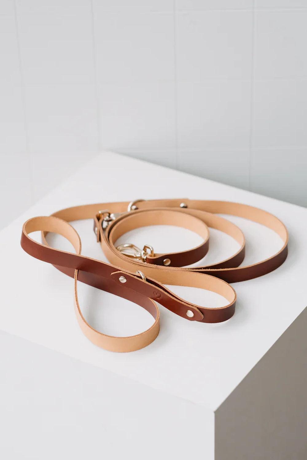 Pups & Itchy-Hands-Free Gezdirme Kayışı - Konyak-Köpek-4-Milagron.com