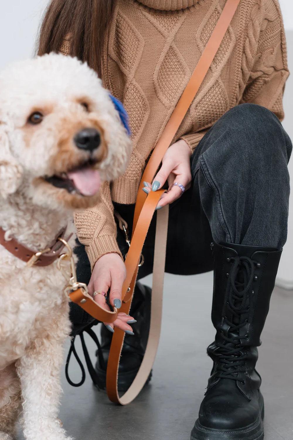 Pups & Itchy-Hands-Free Gezdirme Kayışı - Taba-Köpek-1-Milagron.com