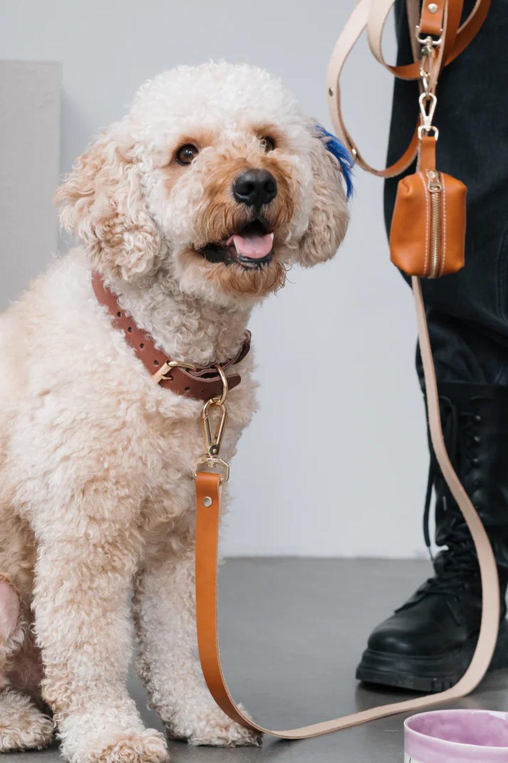 Pups & Itchy-Hands-Free Gezdirme Kayışı - Taba-Köpek-2-Milagron.com