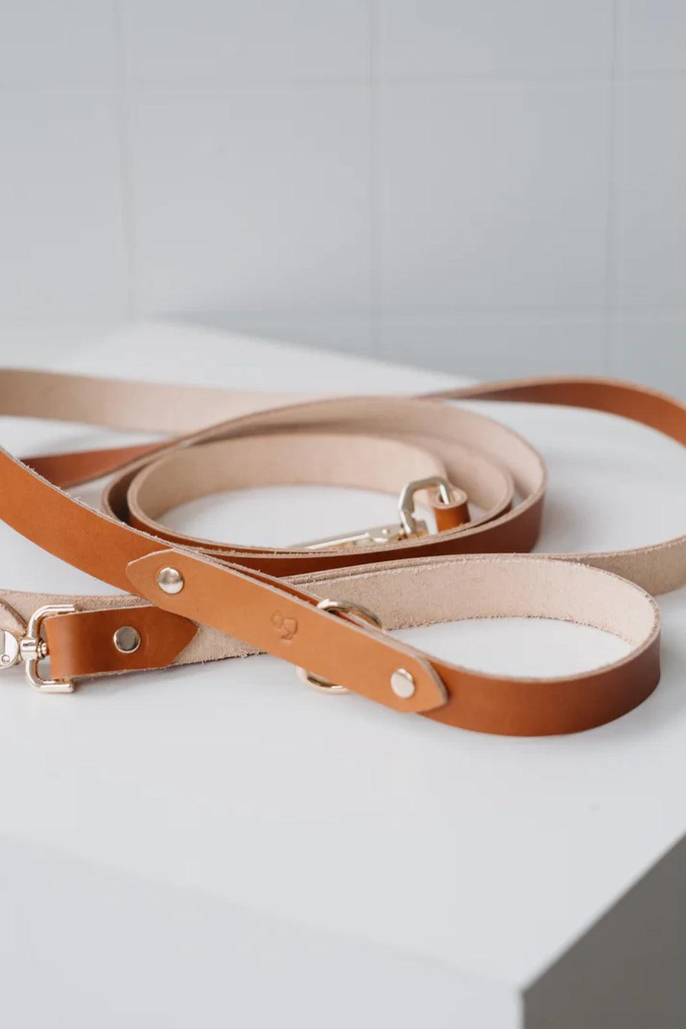 Pups & Itchy-Hands-Free Gezdirme Kayışı - Taba-Köpek-3-Milagron.com