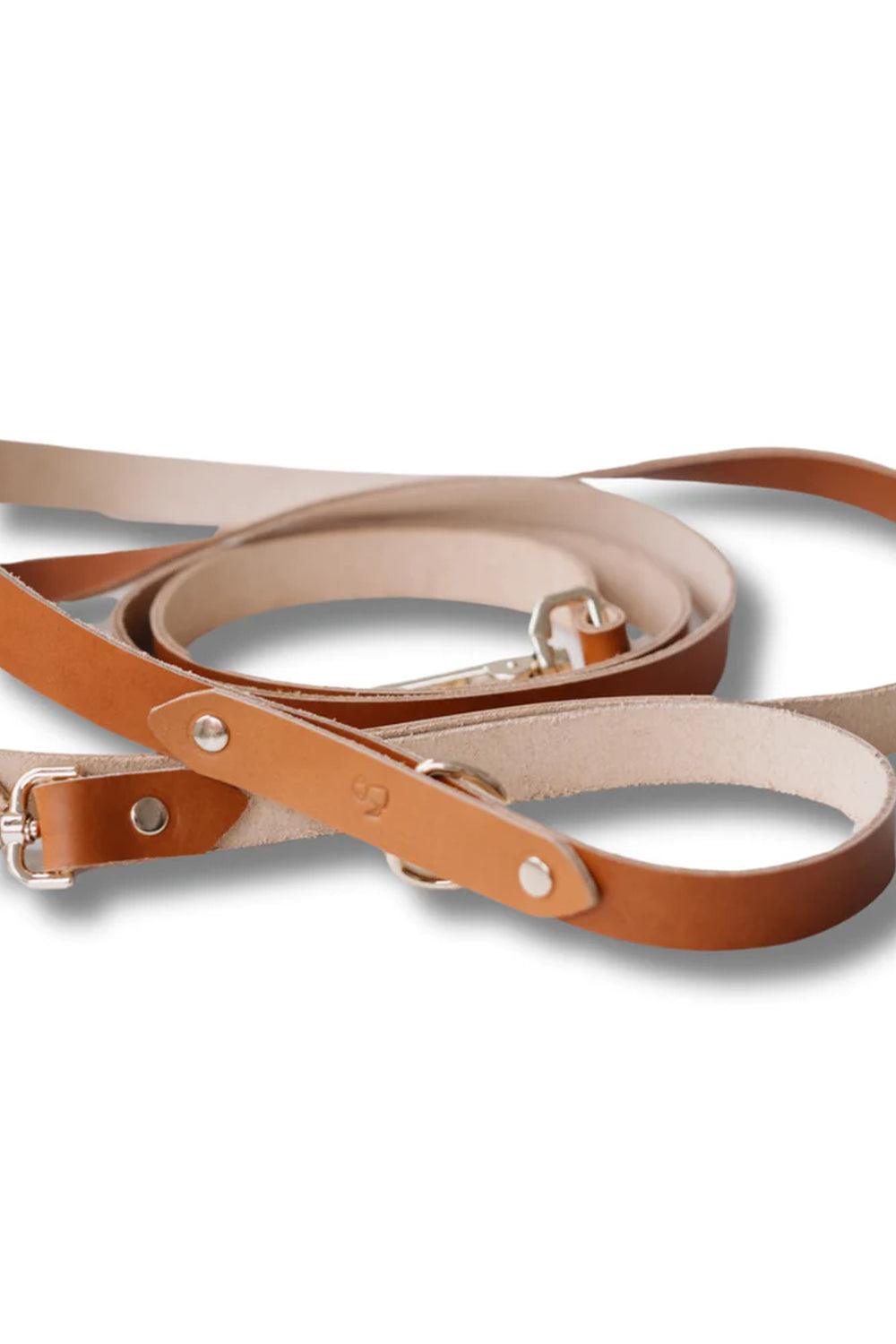 Pups & Itchy-Hands-Free Gezdirme Kayışı - Taba-Köpek-4-Milagron.com