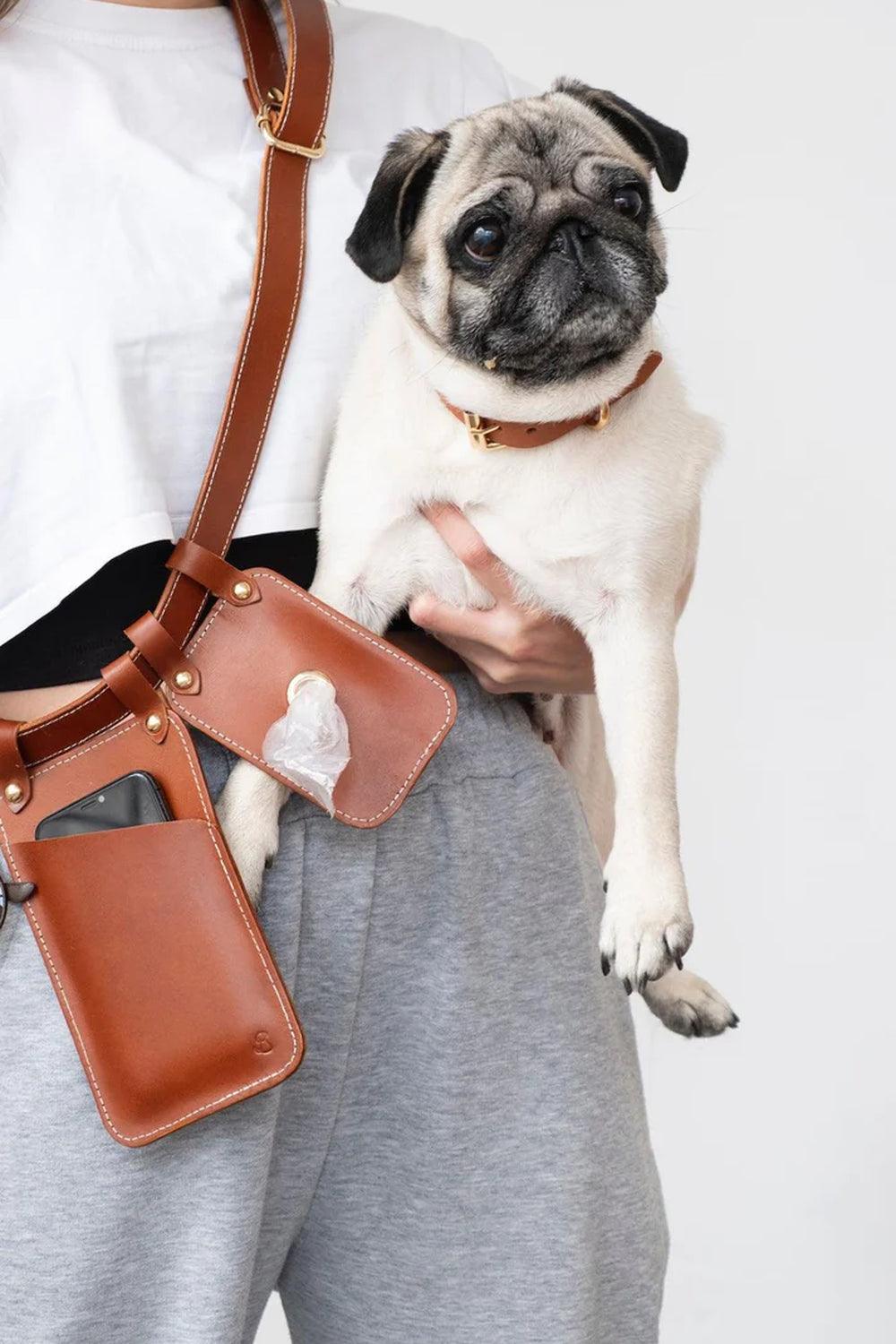 Pups & Itchy-Multibag / Çok Amaçlı Köpek Gezdirme Kemeri - Konyak-Köpek-2-Milagron.com