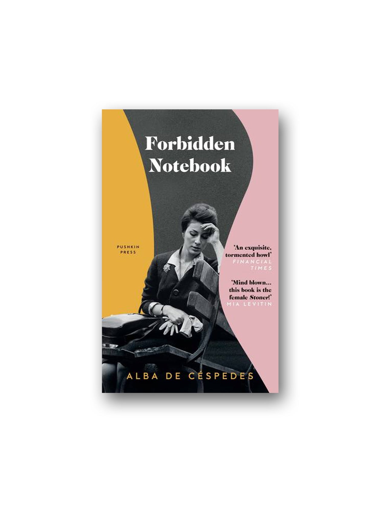 Pushkin Press-Forbidden Notebook-Kitap-1-Milagron.com
