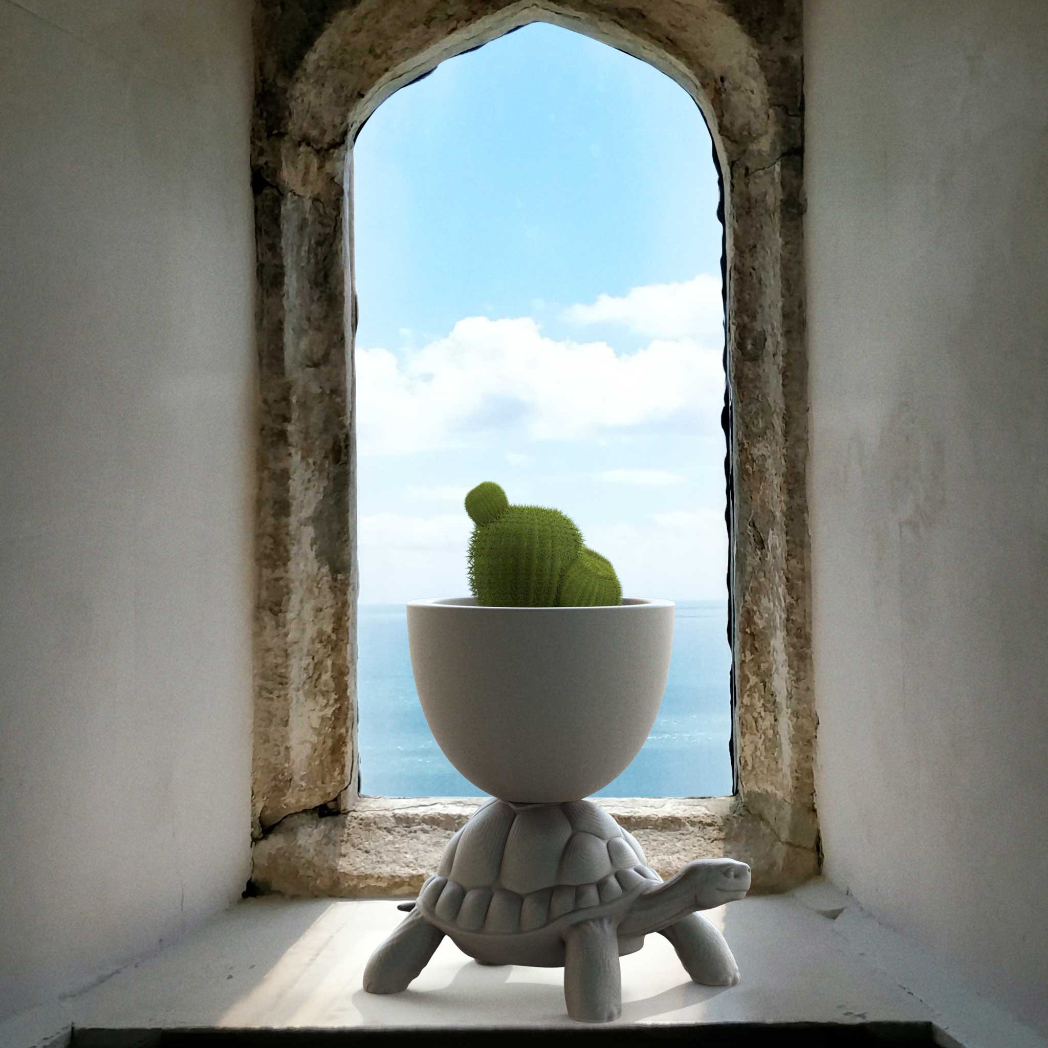 Qeeboo-Turtle Carry Gri Saksı/şampanya Soğutucu-Dekoratif Saksı-4-Milagron.com