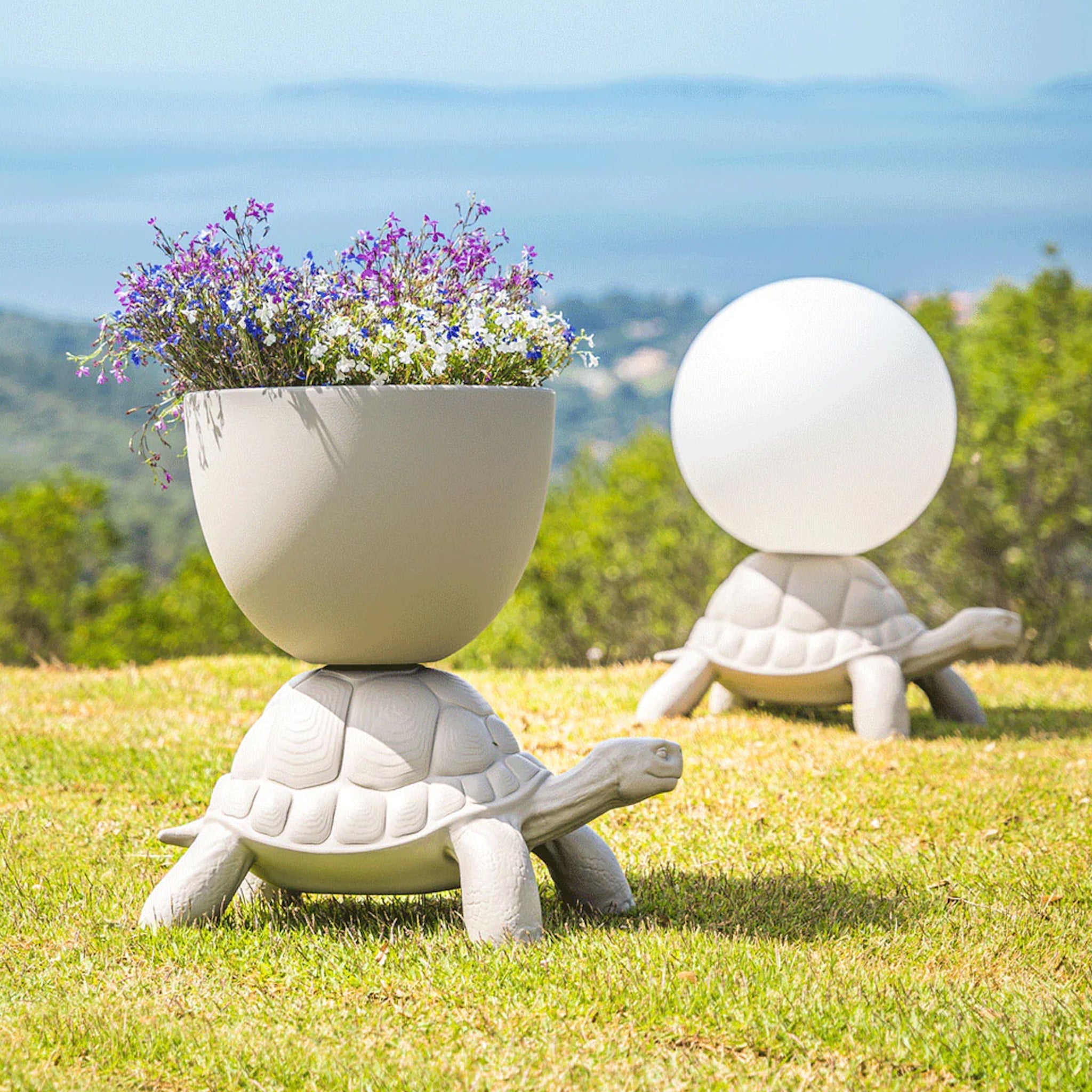 Qeeboo-Turtle Carry Gri Saksı/şampanya Soğutucu-Dekoratif Saksı-5-Milagron.com