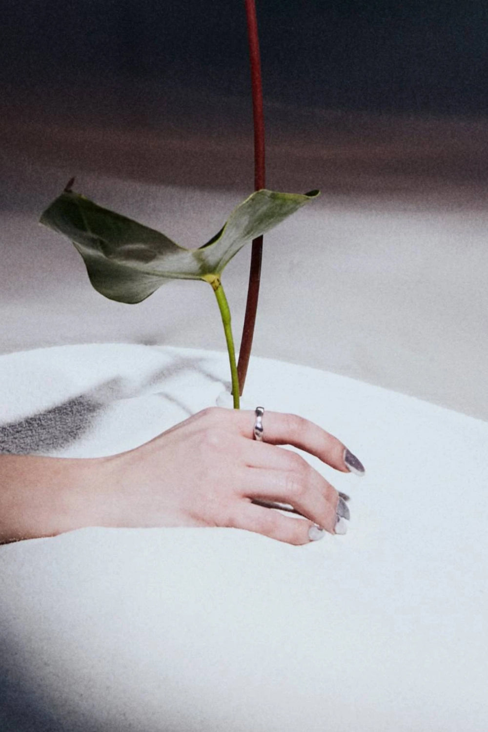 RAFTAF-Dream Gümüş Yüzük-Yüzük-4-Milagron.com