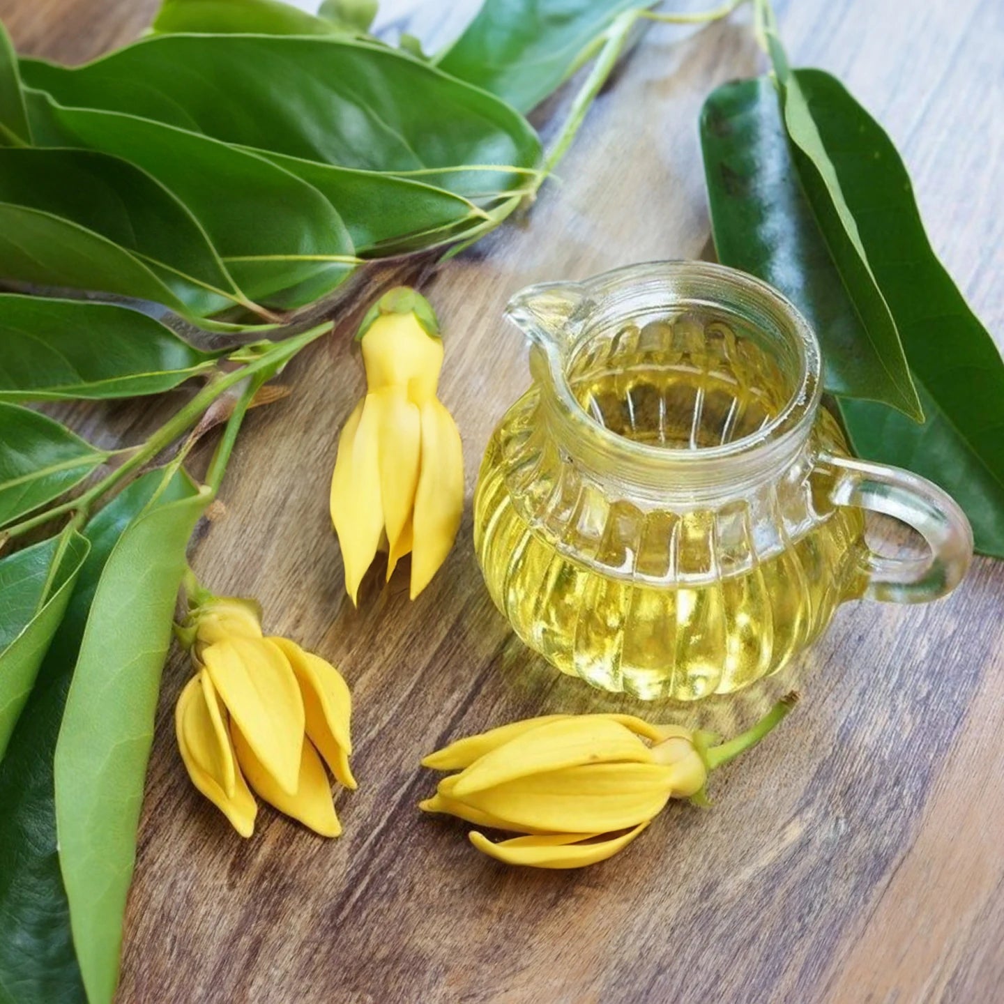 Ylang Ylang Uçucu Yağı