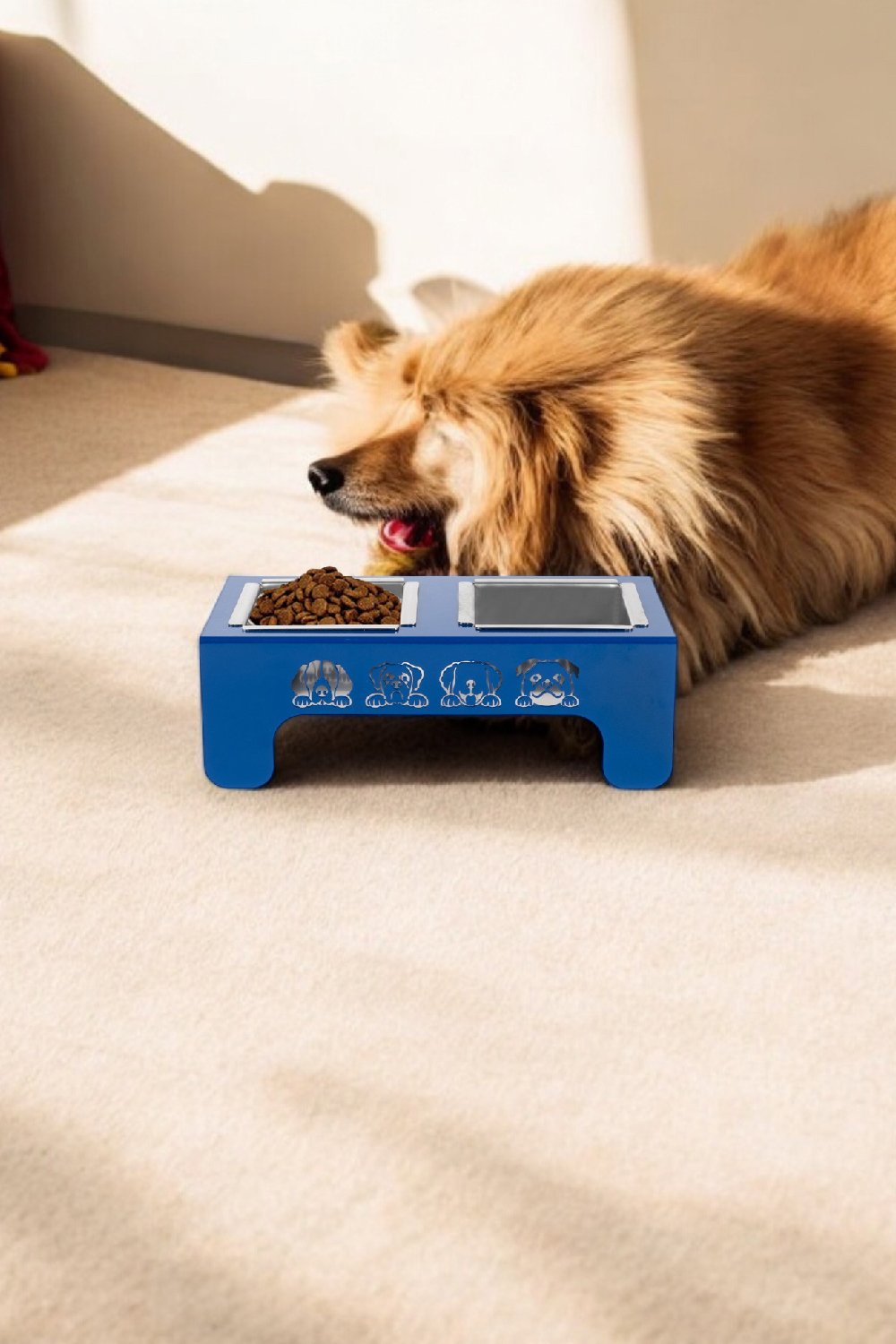 Rarart Concept-Doggy - Köpek Su Ve Mama Kabı-Kedi-1-Milagron.com