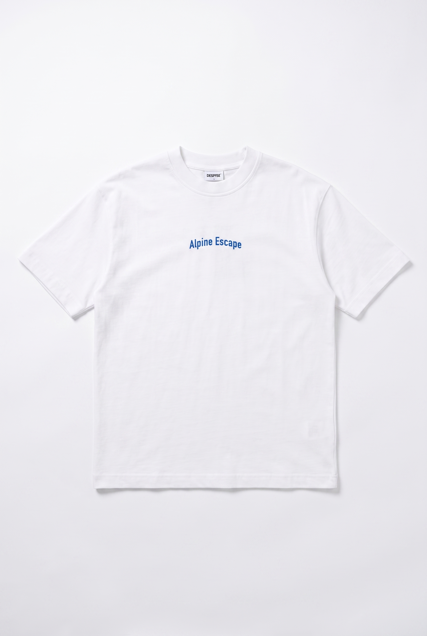 Erkek Alpine Nakışlı Oversize T-Shirt Ekru
