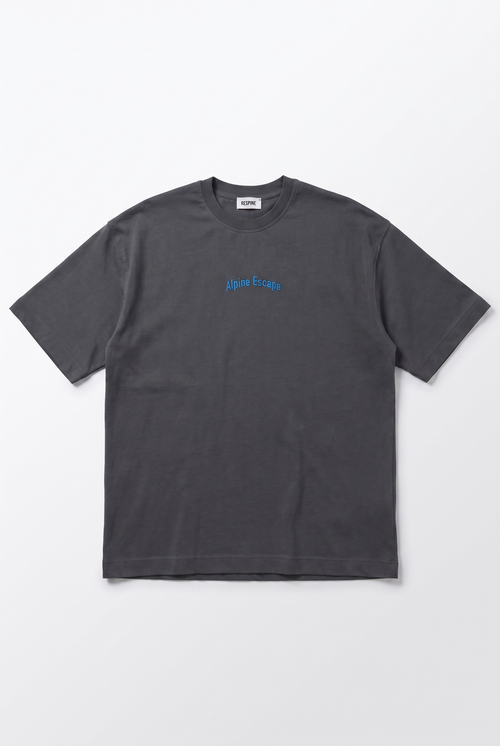 Erkek Alpine Nakışlı Oversize T-Shirt Füme