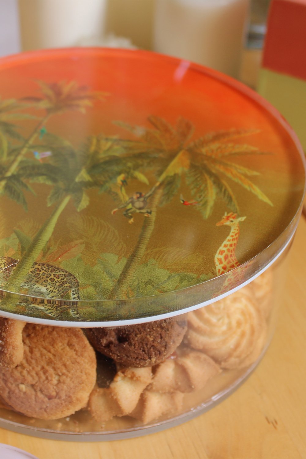 Rooms Design Studio-Wildest Dream 18x6 Büyük Kavanoz-Sunum Aksesuarları-3-Milagron.com