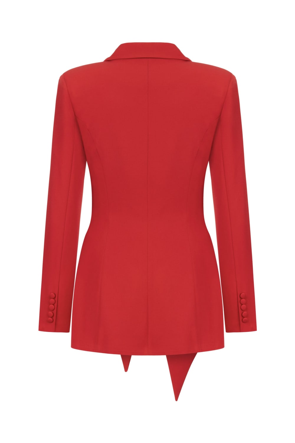 Seize The Day-Hailey Bağlamali Ceket-Ceket-2-Milagron.com